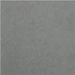 Grey Borghamn Limestone