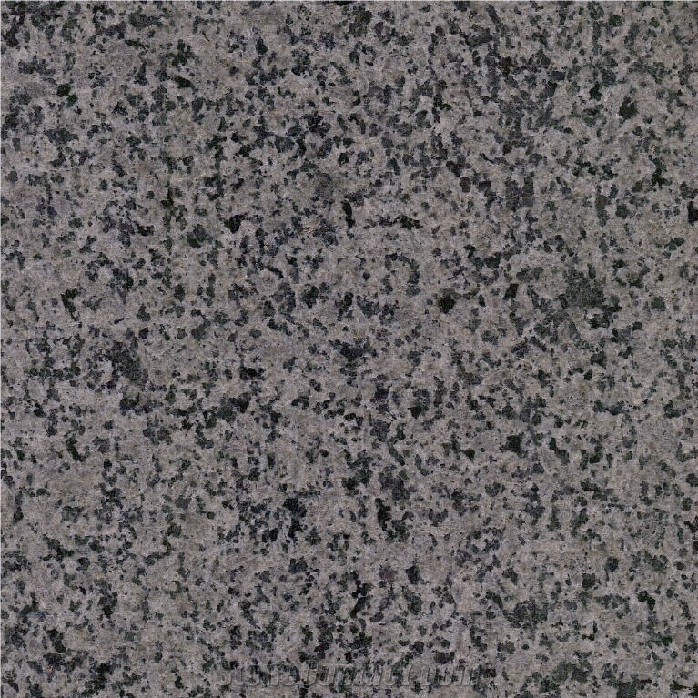 Jindian Sesame Grey Granite 