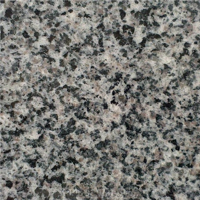 Jindian Sesame Grey Granite Tile