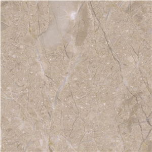 Jurassic Beige Marble