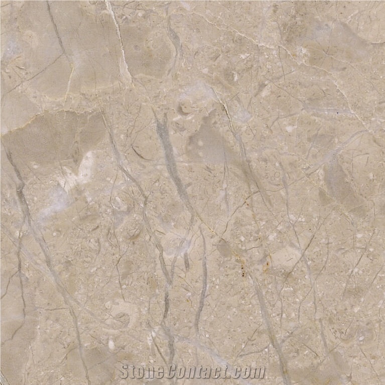 Jurassic Beige Marble Tile