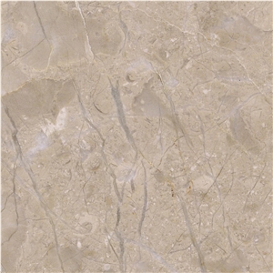 Jurassic Beige Marble