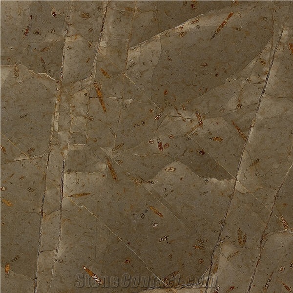 Jurassic Brown Marble Tile