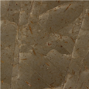 Jurassic Brown Marble Tile