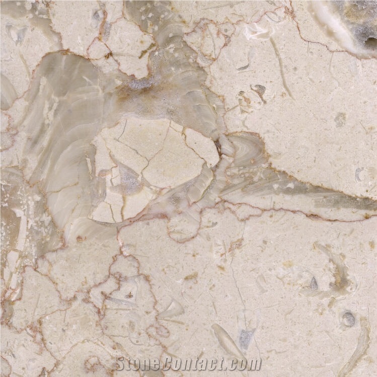 Jurassic Cream Marble Tile