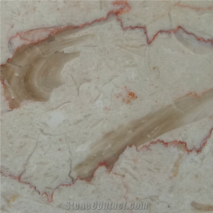 Jurassic Cream Tile