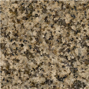 Kalamaili Gold Granite Tile