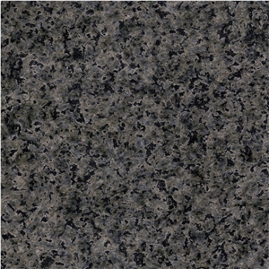 Labrador Granite Tile