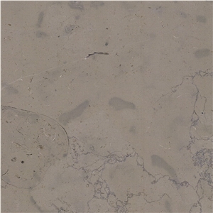 Leopard Blue Limestone