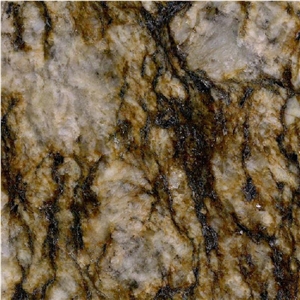 Leopard Granite Tile