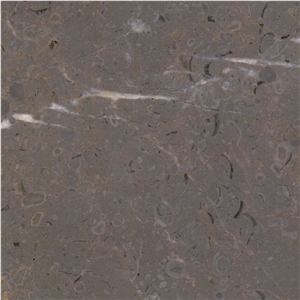 Lericy Marble Tile