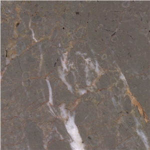 Lericy Marble Tile