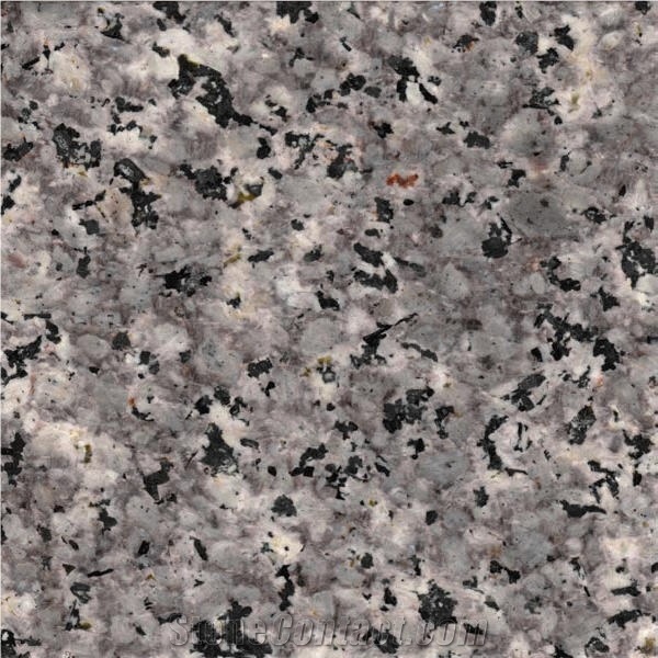 Maragheh Granite 