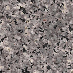 Maragheh Granite