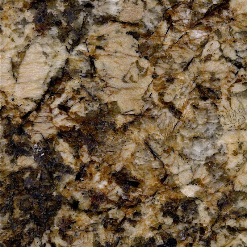 Medusa Gold Granite 