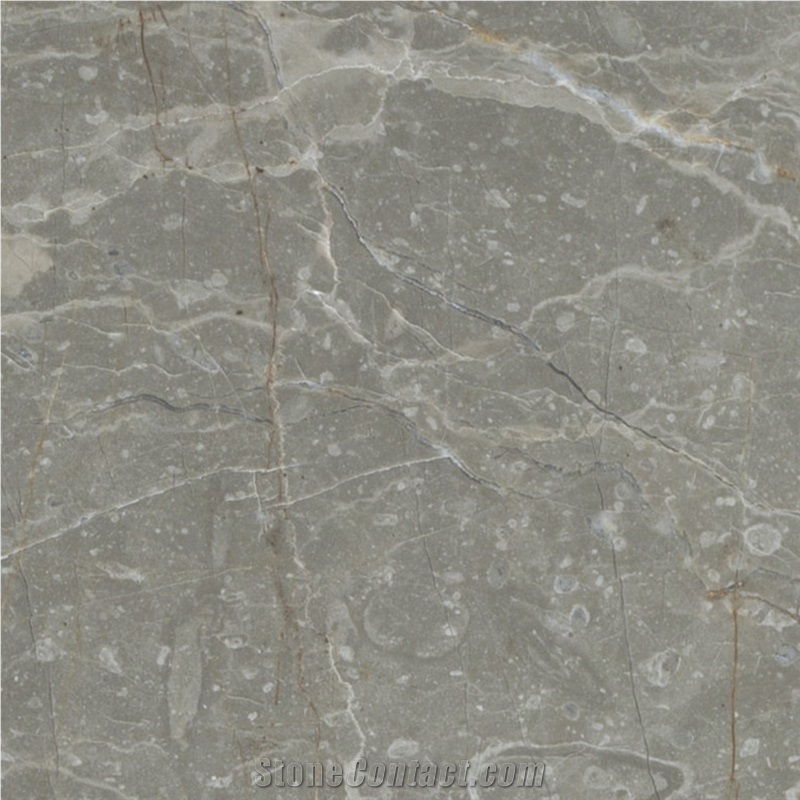 Milano Fossil Marble 