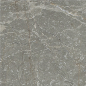 Milano Fossil Marble