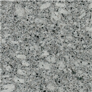 Millennium White Granite
