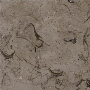 Millie Brown Limestone