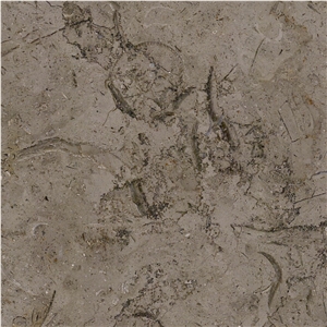 Millie Brown Limestone