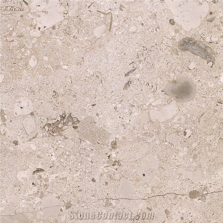 Mirabelle Limestone Tile