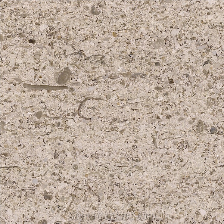 Moca Medium Grain Limestone Tile