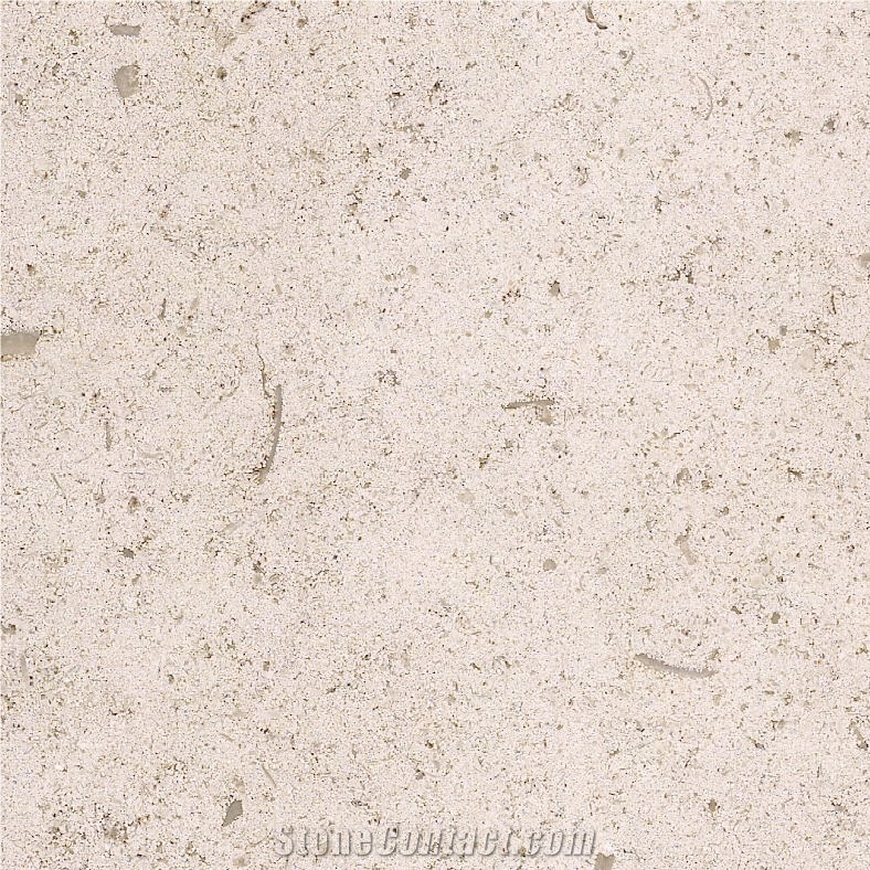 Moleanos Caravelle Limestone Tile
