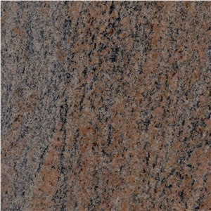 Multicolor Red Granite