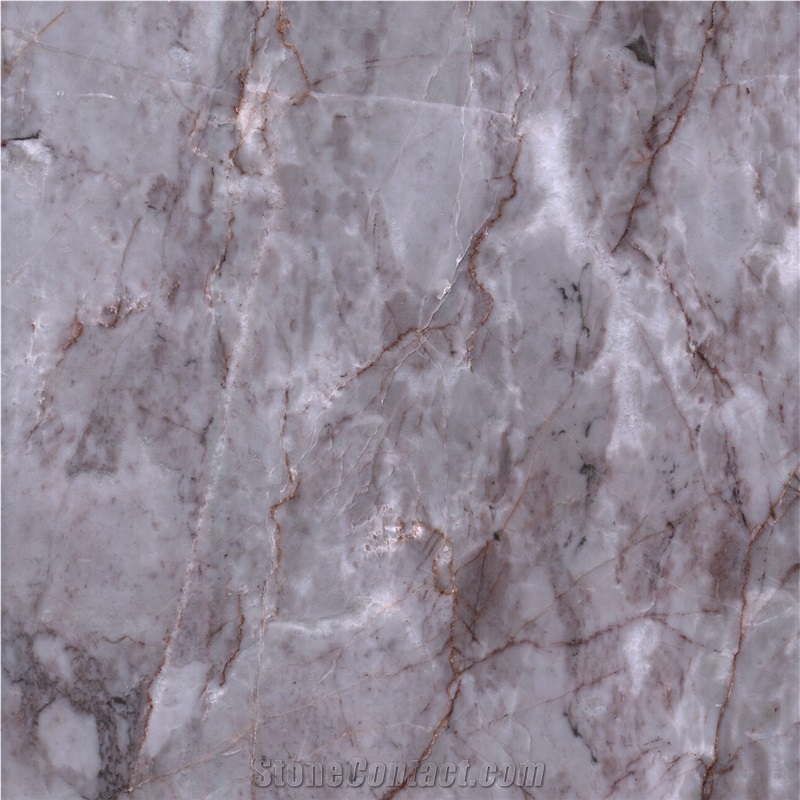 Multicolored Gray Gems Marble 