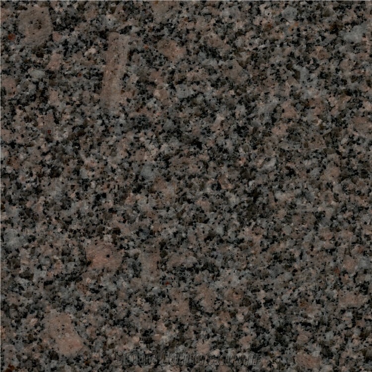 Nadella Brown Granite 
