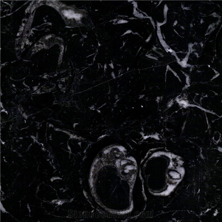 Negro Marquina Marble 