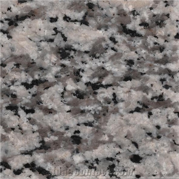 Nehbandan Cream Granite 
