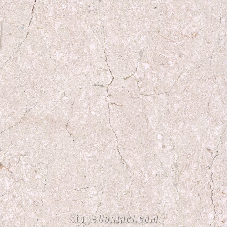New Beige Limestone Tile