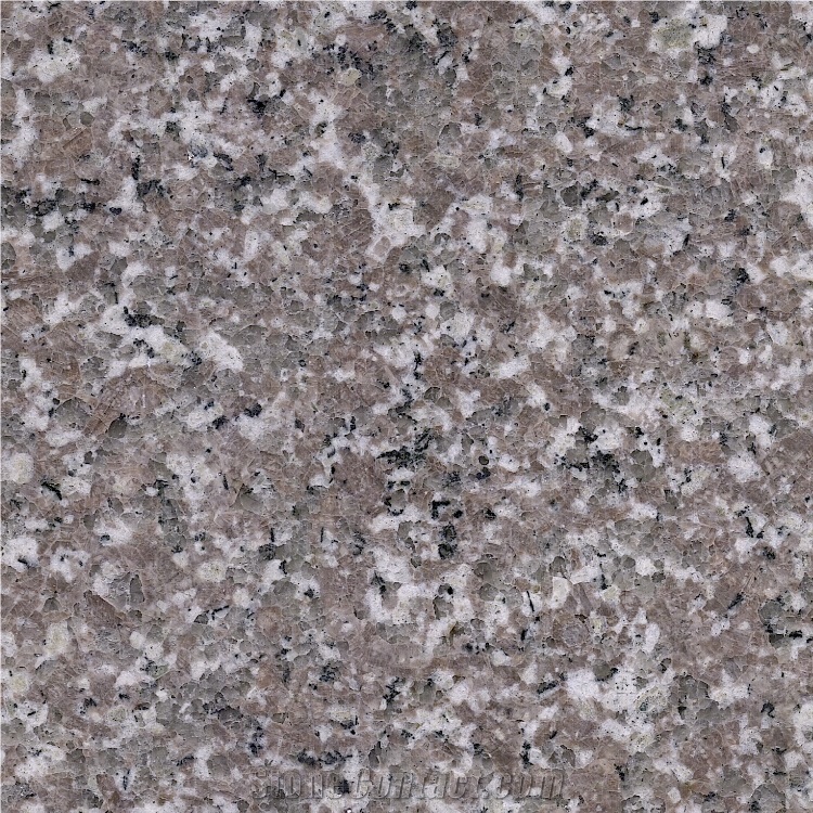 New G664 Granite Tile
