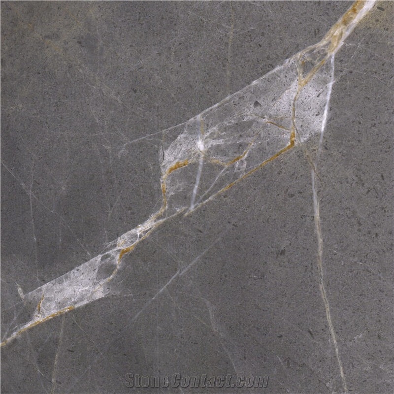 New Italy Gray Marble Tile