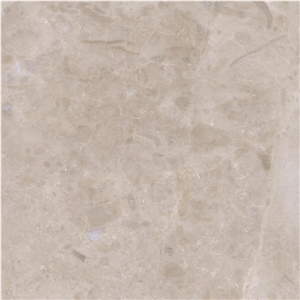 New Latte Marble