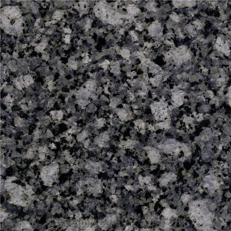 New Oyster Pearl Granite 