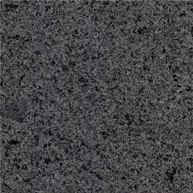 New Zealand Grey Granite Tile