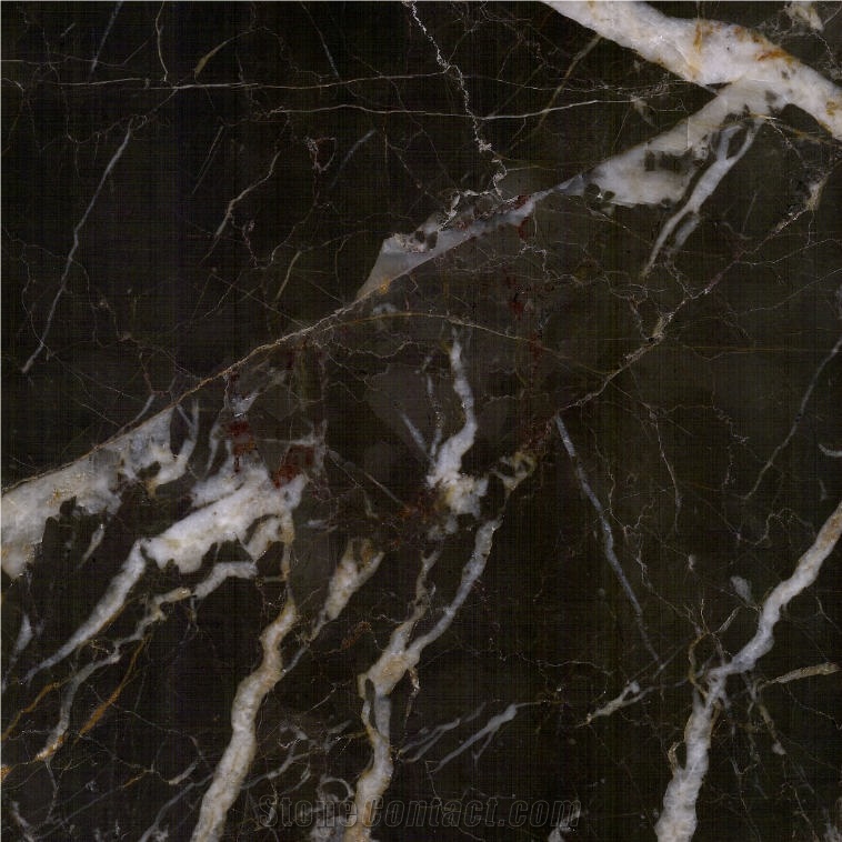 Noir St. Laurent Marble 