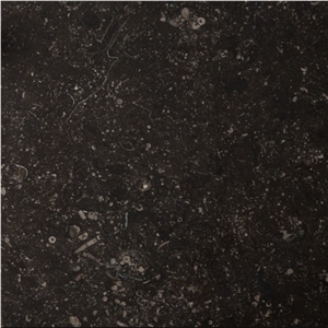 Noir Sully Limestone