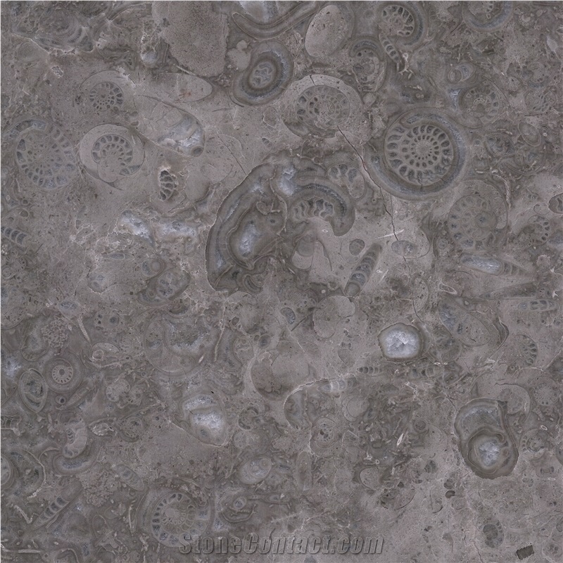 Ocean Gray Fossil Tile
