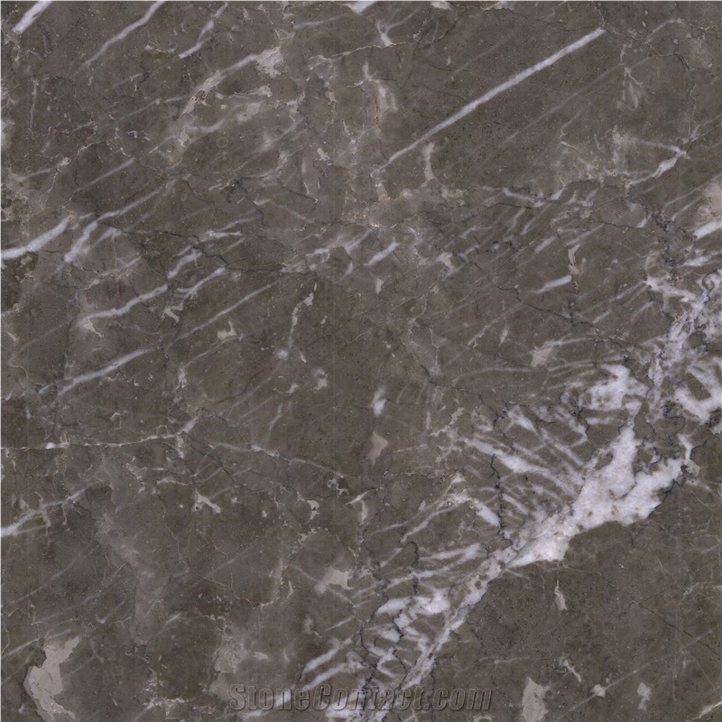 Ocean Gray Marble Tile