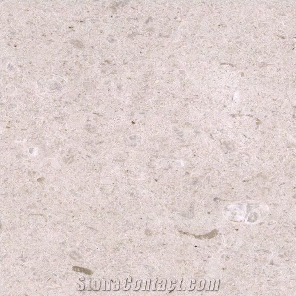 Ojinaga Limestone Tile