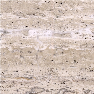 Oniciato Bianco Travertine