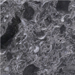 Oriental Grey Marble