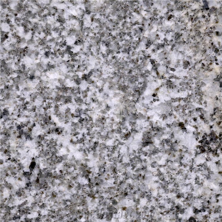 Oyster White S Granite 