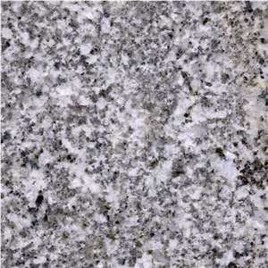 Oyster White S Granite