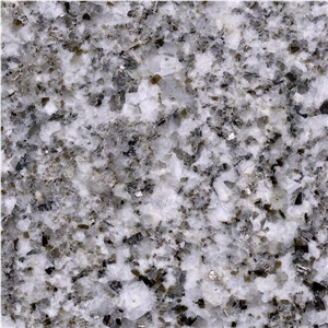 Oyster White S Granite Tile