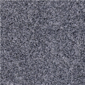 Penizevichi Grey Granite