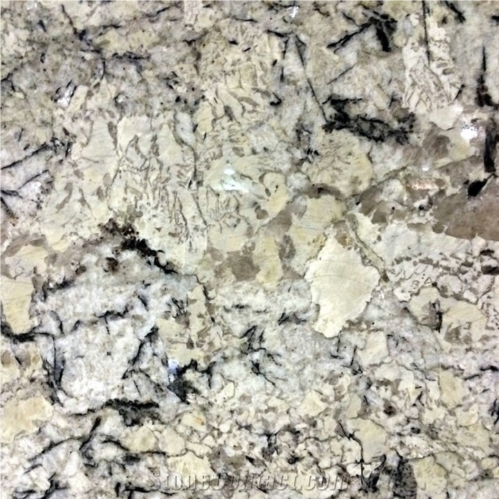 Persa Pearl Granite Tile